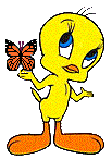Gifs animés titi papillon